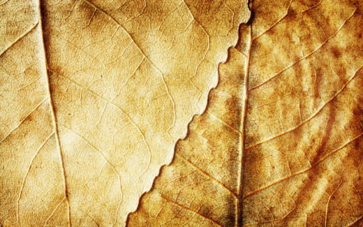 534417 (a): :1920x1200
